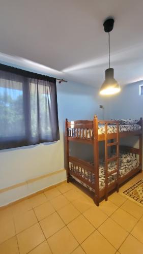 6-Bed Female Dormitory Room room in Traveler Hostel