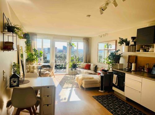 Central apartment with an amazing view, Oslo (foto 5)
