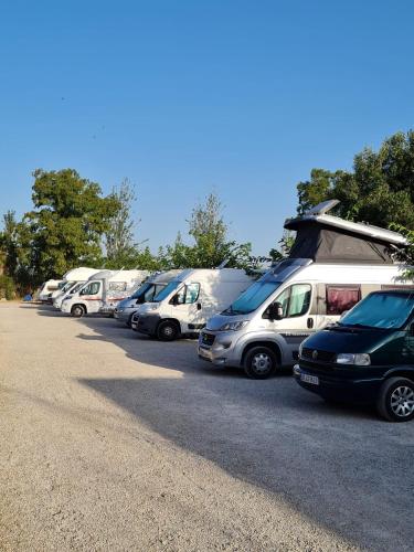 Bungalows Park Albufera