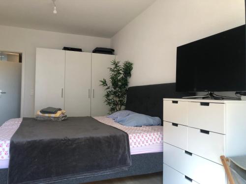  One bedroom 3pieces entire Modern Appartment close to Airport, CERN, Palexpo, public transport to the center of Geneva in Meyrin