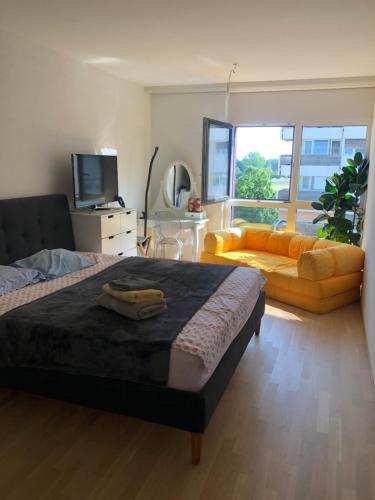  One bedroom 3pieces entire Modern Appartment close to Airport, CERN, Palexpo, public transport to the center of Geneva, Pension in Meyrin bei Peney-Dessus