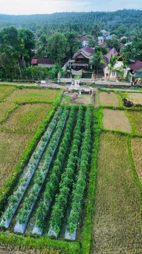 Sumatra Expedition Lodge