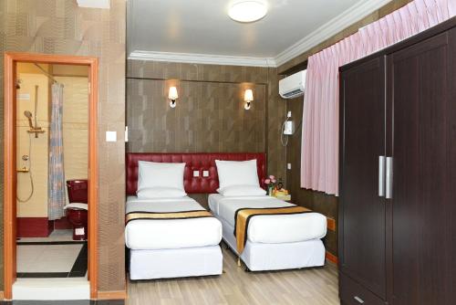 Deluxe Double or Twin Room with City View image 1