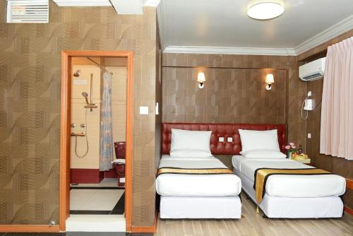 Deluxe Double or Twin Room with City View image 2