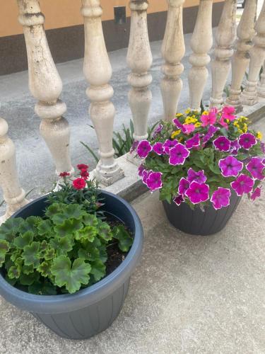 M&M Spalato residence M&M Spalato residence