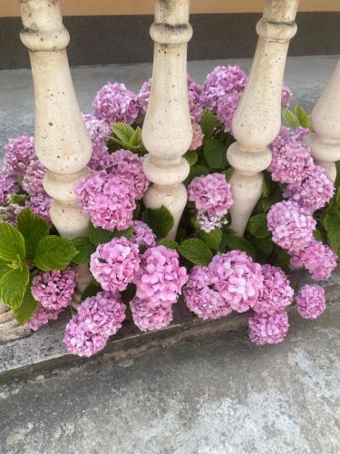 M&M Spalato residence M&M Spalato residence