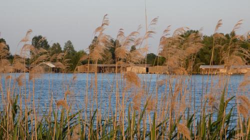 Müritzbrise 1 (Muritzbrise 1) in Ludorf
