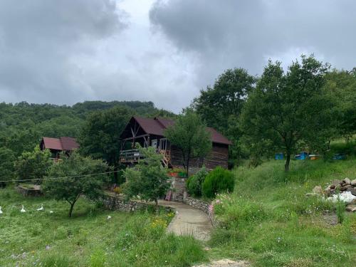 Origjina Farm in Corovode