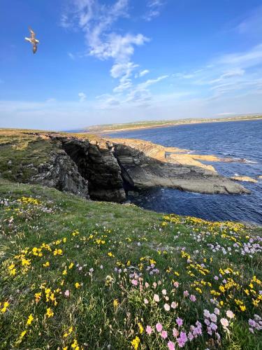 Peedie Cott Self-Catering, Orkney