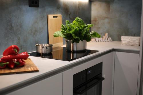 Mint Apartment, Split (Foto 7)