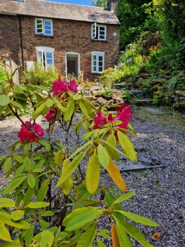 Leaden Cottage