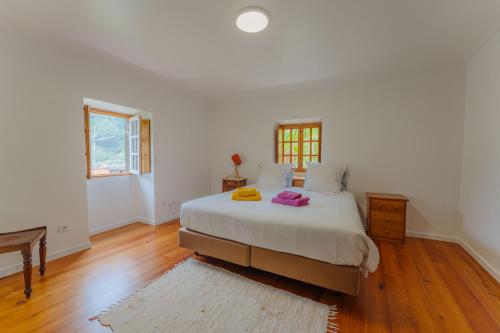  Madeira Surf Lodge in São Vicente