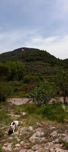 Kilátás, La Viajera Espadan in Algímia d'Almonesir