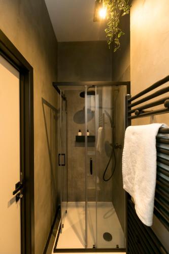 Golden Dove Luxury Aparts, Брюссель (фото 9)