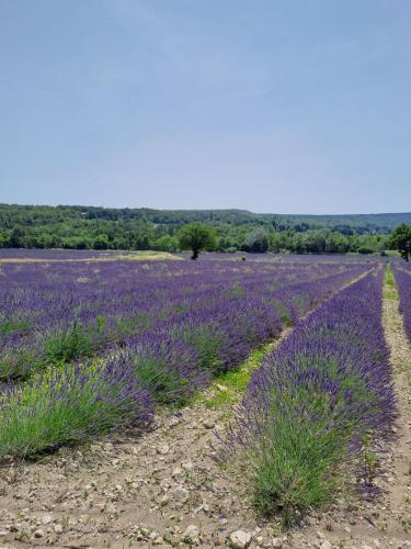 Villa Les Fuseaux avec piscine chauffée à Grignan