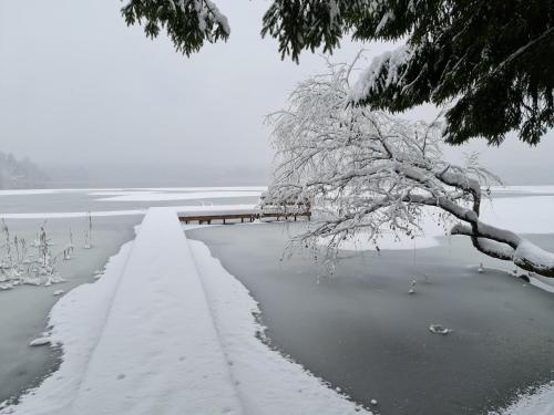 Viesuliškės Lakeside Glamping