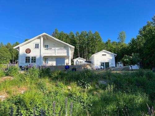 Stunning Tiny House Tree of Life at lake Skagern