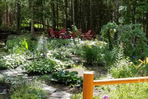 Sturgeon Valley Cabin