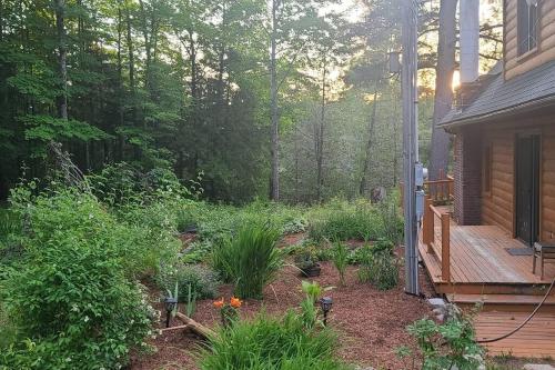 Sturgeon Valley Cabin