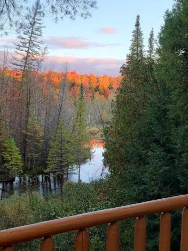 Sturgeon Valley Cabin