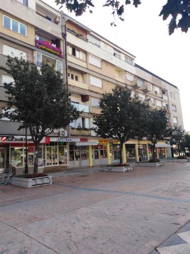 Apartman REA 1 in Pirot