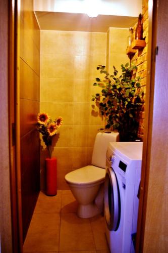 Apartment in the centre with free gated parking, Tallinn (photo 10)