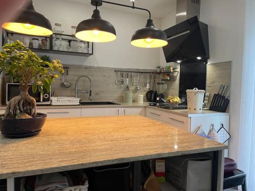 Appartement, Perpignan - Location saisonnière - Perpignan