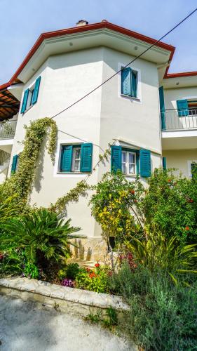Villa Matina - image 3