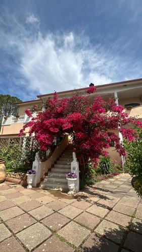  Casa Vacanze La Brii in Iglesias