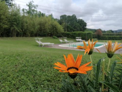 L'isola che non c'è