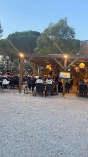 Lilou - Camping - La Roque-d'Anthéron