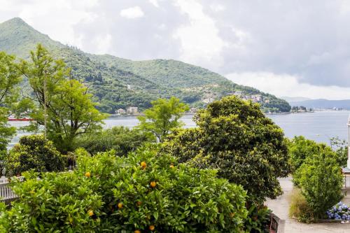 Studio Apartments Summer Time in Josice