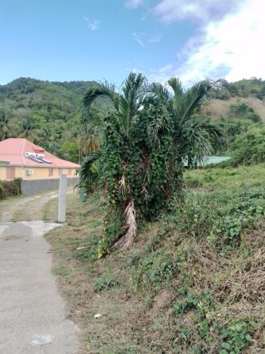 Weston, Deshaies (Foto 2)