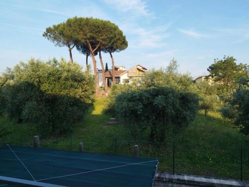 Luciano Relax Apartment, Rom (Foto 5)