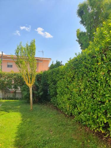 Andrea's House - Fiumicino