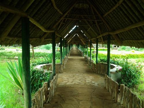 AA Lodge Amboseli