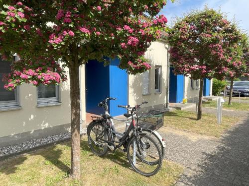 Ferienwohnung Achterwasser mit Terrasse in Dewichow, Deutschland