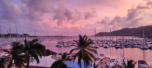 vue panoramique Marina - Location saisonnière - Le Marin