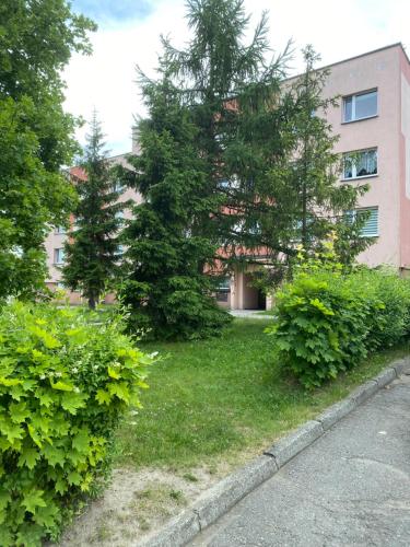 ZB Apartment BEIGE Piekary Śląskie ZB Apartment BEIGE Piekary Śląskie