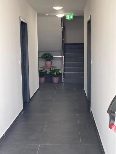  Fancy Gold in Gerasdorf bei Wien