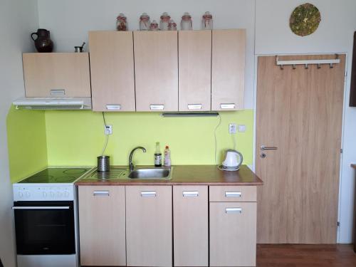Apartmán v podhůří Krušných hor (Apartman v podhuri Krusnych hor) in 索科洛夫
