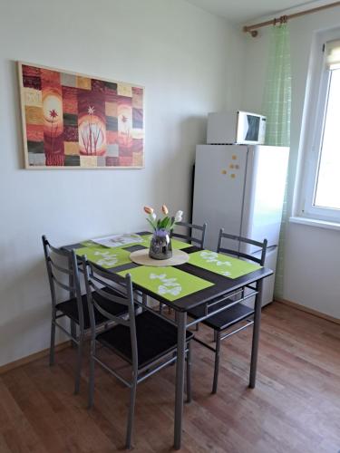 Apartmán v podhůří Krušných hor (Apartman v podhuri Krusnych hor) in 索科洛夫
