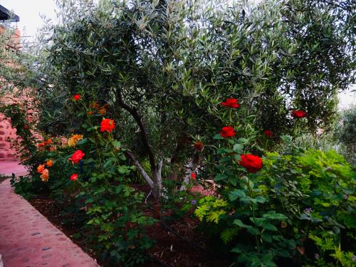 Jolie petite maison vue sur lac in 빈 엘 우이단