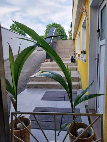 BOHO Apartment Auréa nähe Salzburg (BOHO Apartment Aurea nahe Salzburg) in Freilassing