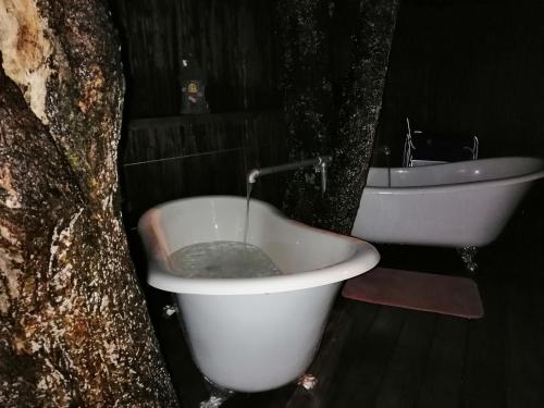 Tree House Reopen - Apartment - Rotorua