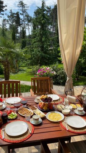 Neli & Zaal Guest House, Telavi (photo 4)