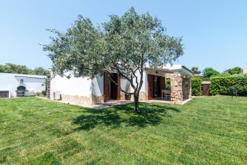 Villa Teresa gîte à louer Porto San Paolo