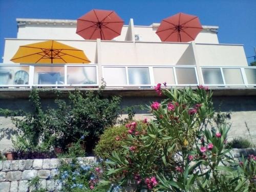 شرفة/ تراس, Apartment Iva&Andro in Kolocep