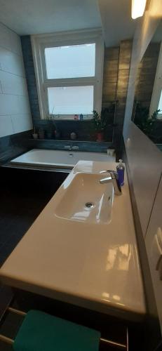 CHARLOTTE, not for parties, not a hotel, room with shared bathroom, no kitchen, Amsterdam (photo 7)