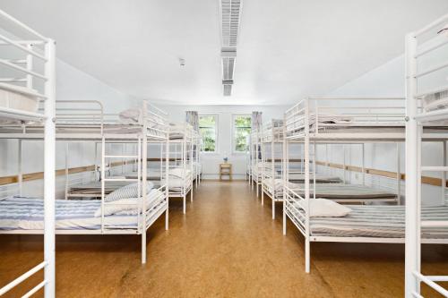 Mixed Dormitory Room